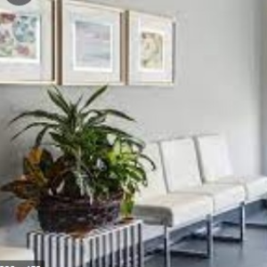 1641882580160079_clinic_image_1641882920.png